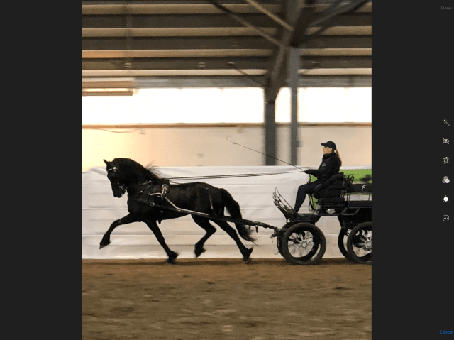 B9C99AC0-C73B-47E9-B184-0ED7FEF8B5ED